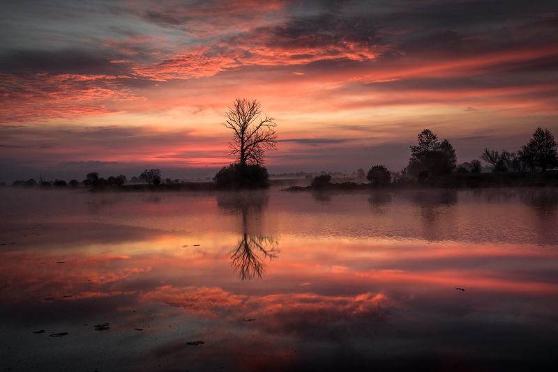 Mirror фото превью