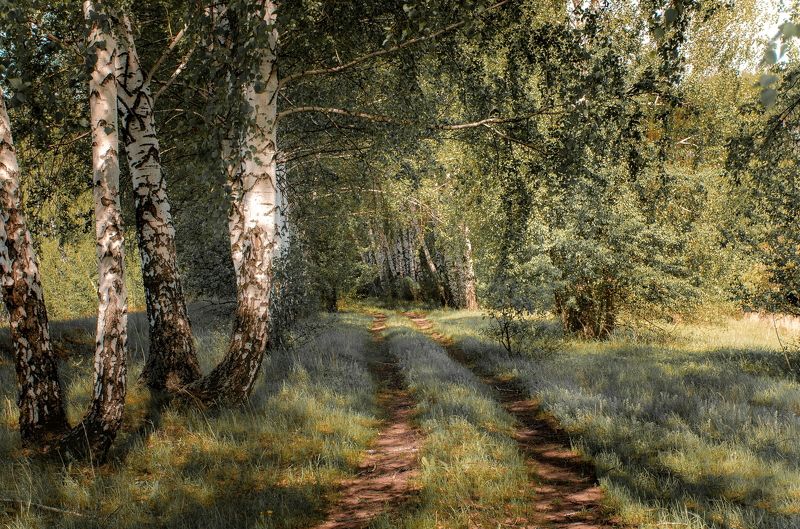 Природа Липецкой области фото превью