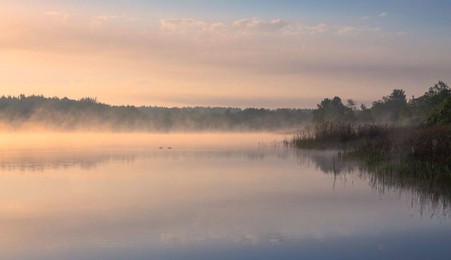 лето, река, рассвет, туман,, Сергей Шабуневич
