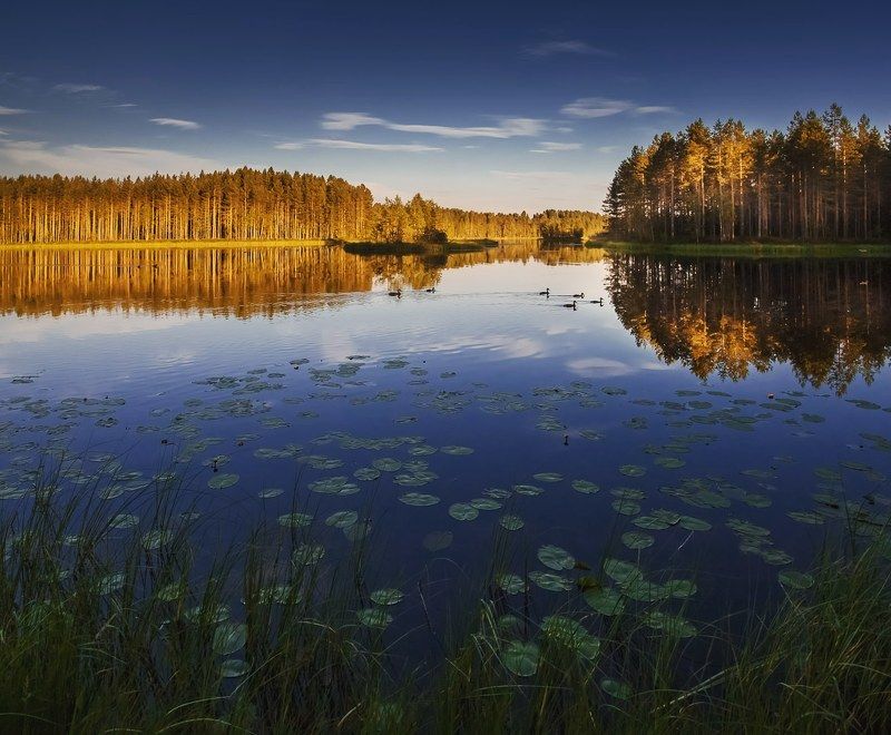 Карелия фото превью