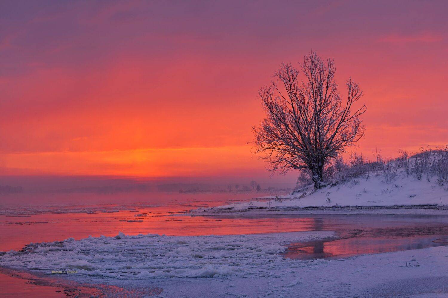 winter, tree, sunrise, landscape, water,, Roman Hudzik