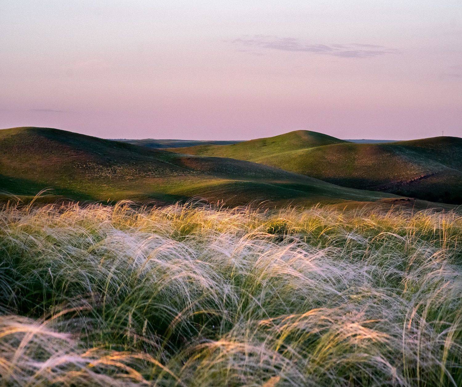 , Дитковский Евгений