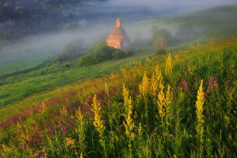 #трава#солнце#река#свет#лето#туман Июльские туманы фото превью