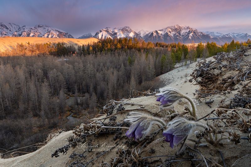 забайкалье, кодар, чарские пески, kodar, chara ~ На краю ~ фото превью