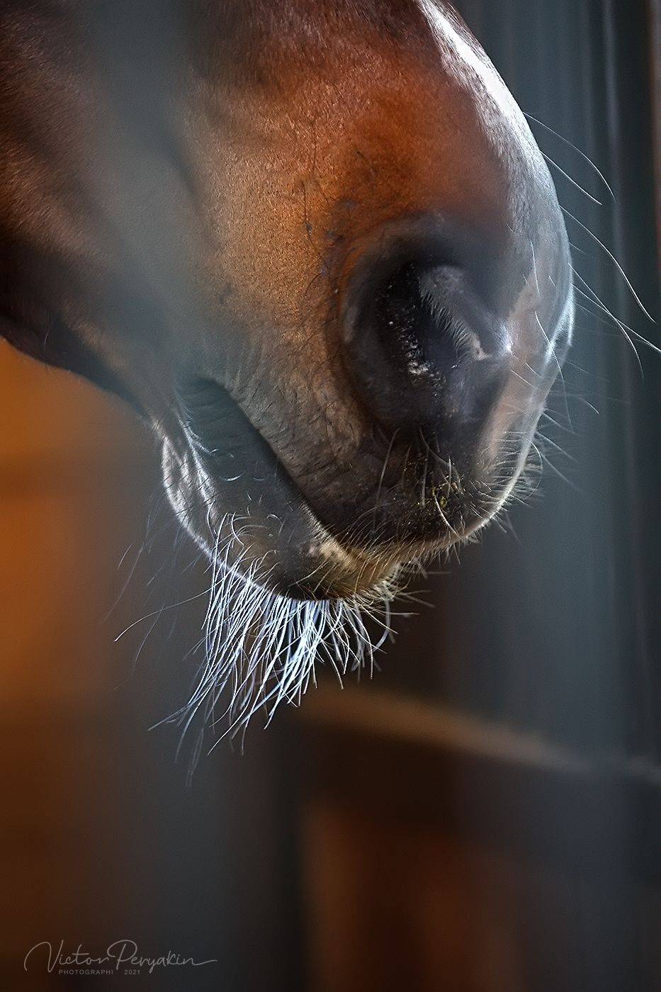 , Виктор Перякин