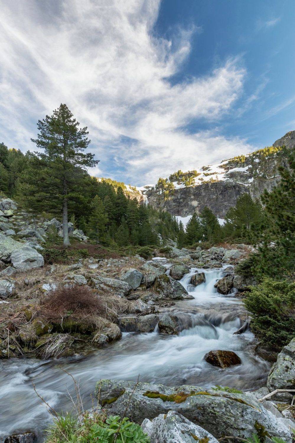 , Александър Сандев
