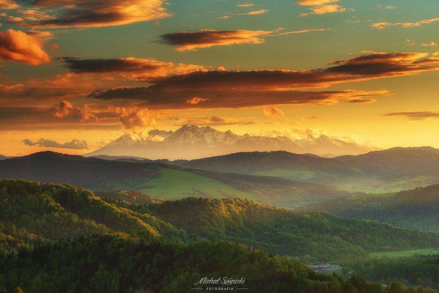 #poland #flowers #city #muszyna #tulips #nature #photo #best #benro @benq #pentax #mountains #tatras #sunset, Michał Sośnicki