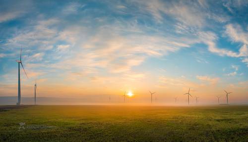 Ветропарк на рассвете