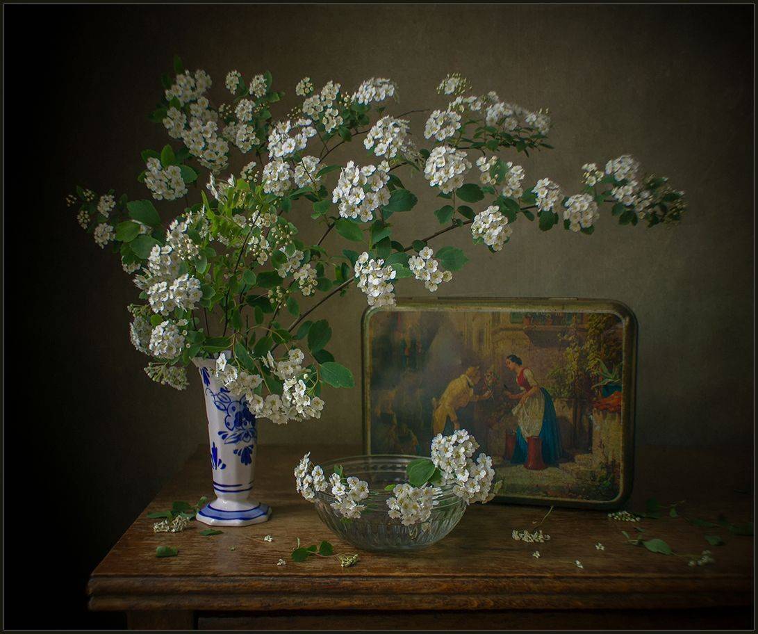 , Stein Georg