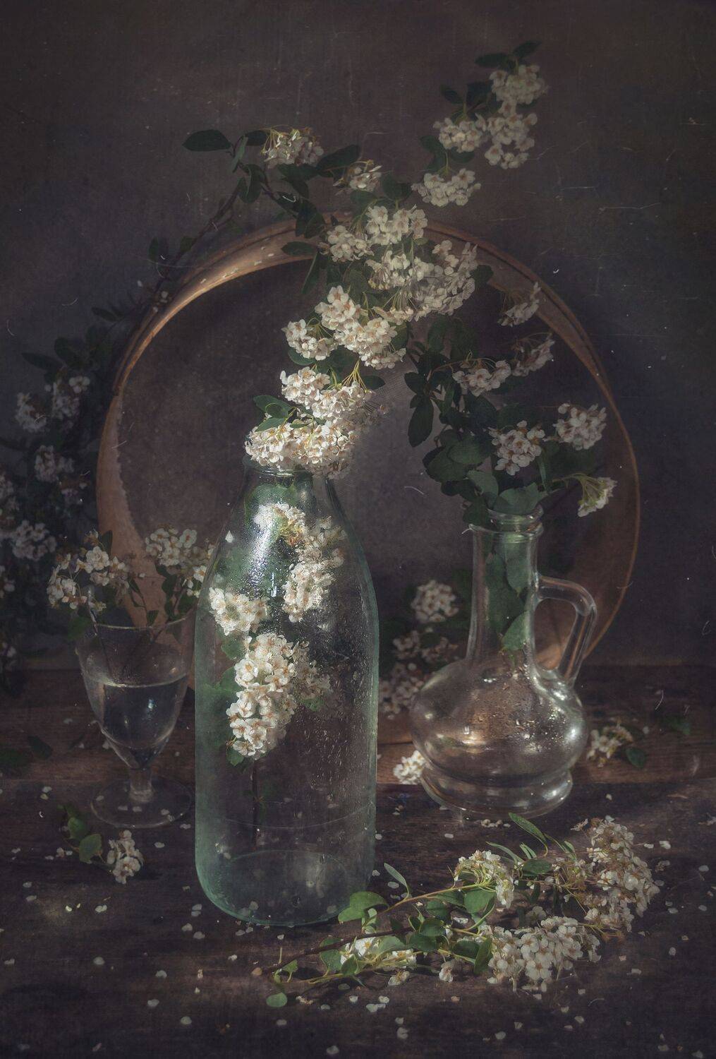 весна,стекло,сосуды,спирея,тёмный,решето,грусть, Владимир Володин