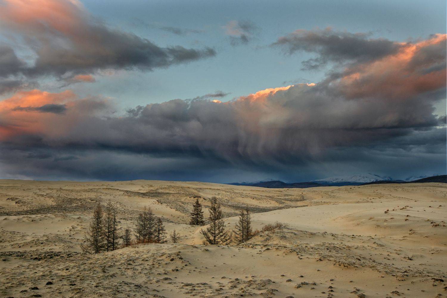 , Андрей Ершов