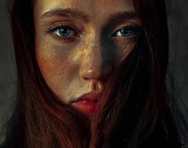 Dary фото превью