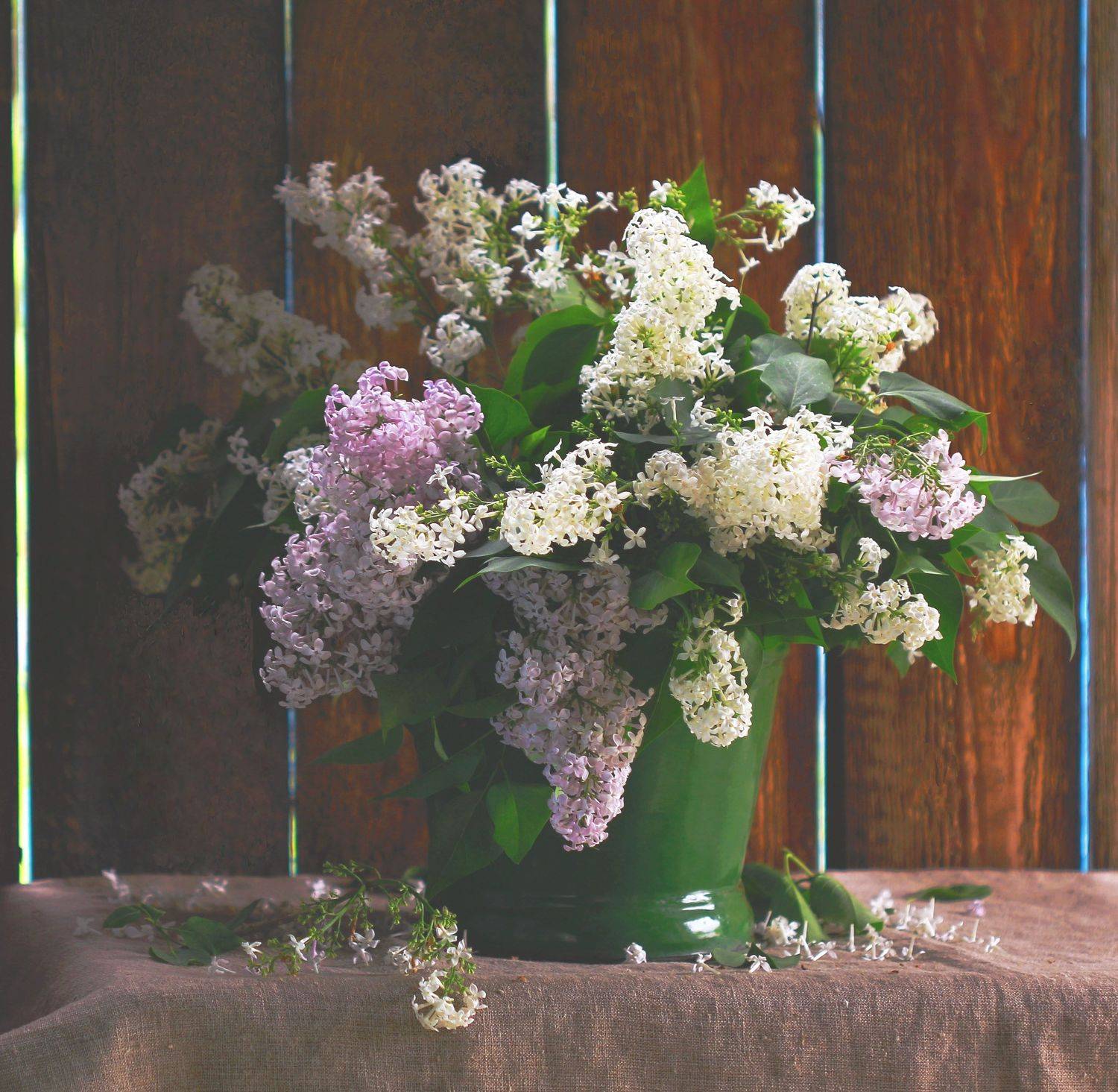 натюрморт, фотонатюрморт, весна, сирень, наталья казанцева, Наталья Казанцева