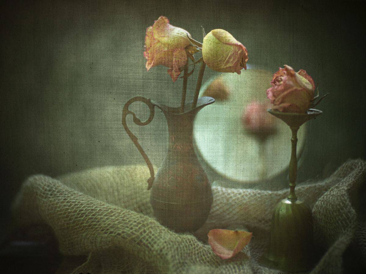 haruhisa, Татьяна Аверина