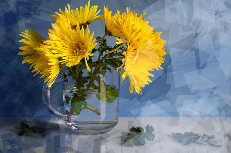 хризантемы Цветочная фантазия с полигональным уклоном... фото превью