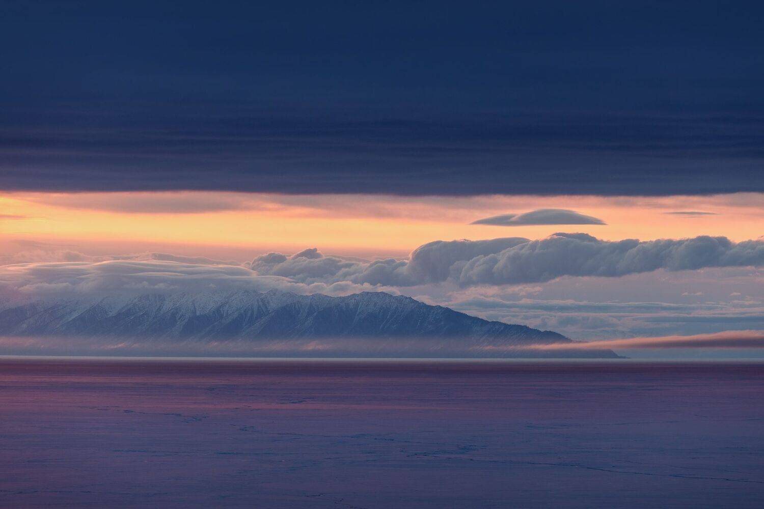 , Дмитрий Купрацевич