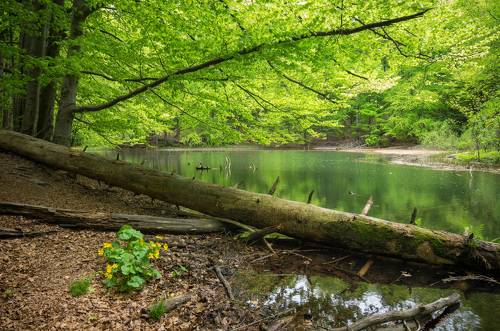 Jeziorka Duszatyńskie