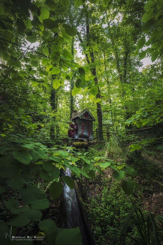 Hobbit Houses фото превью