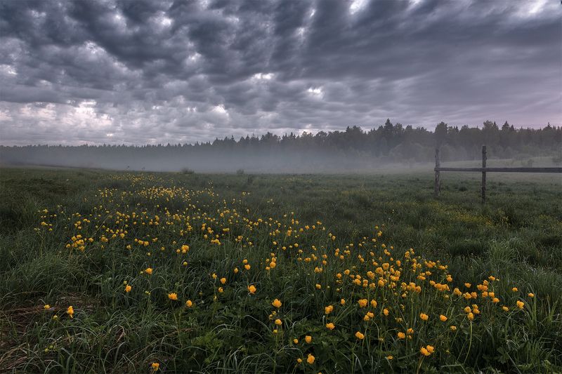 Настроение. Хмурое утро. фото превью