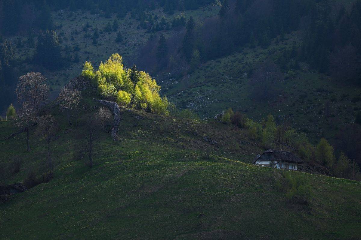 , Stefan Chirobocea