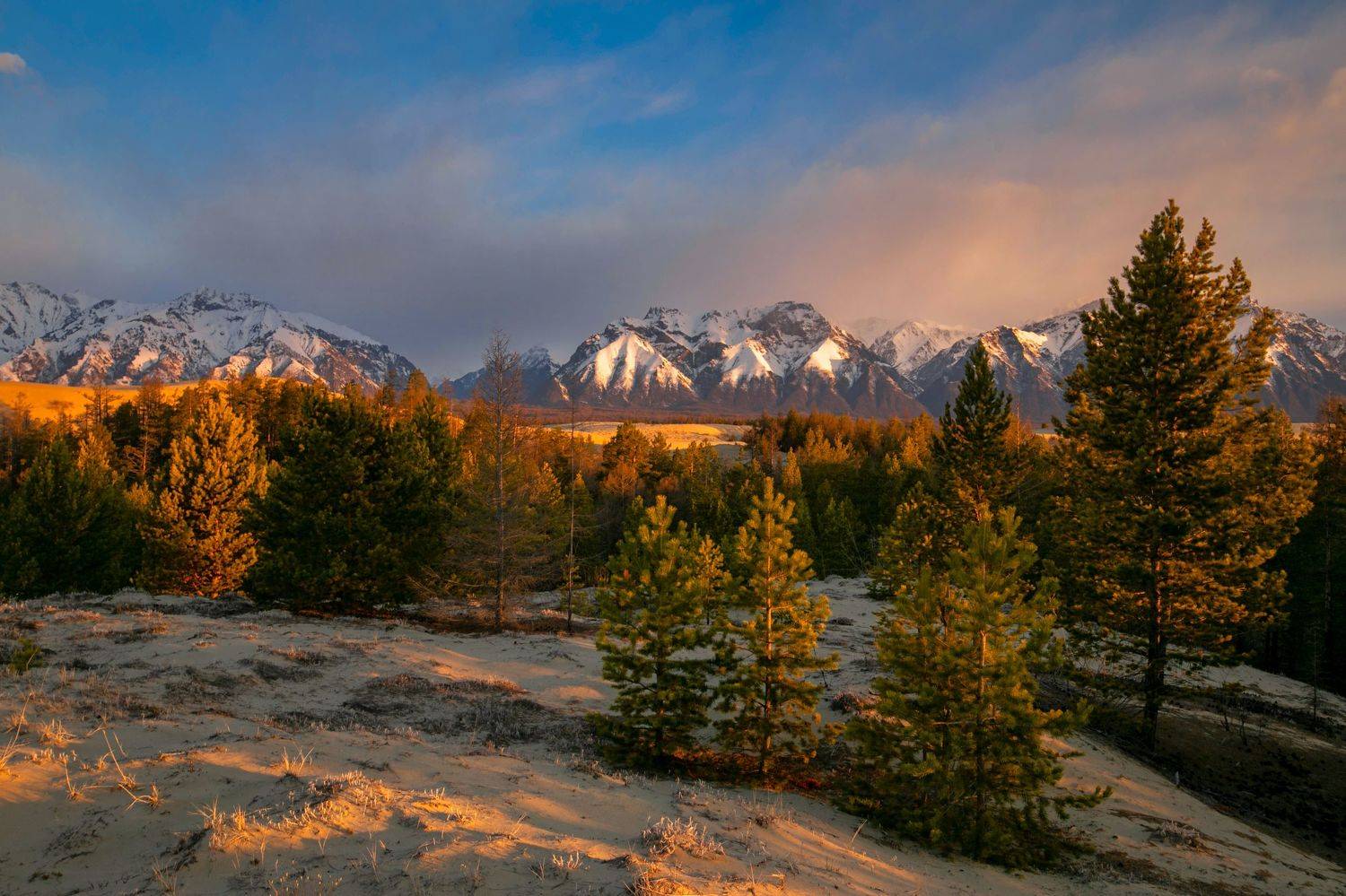 , Андрей Ершов