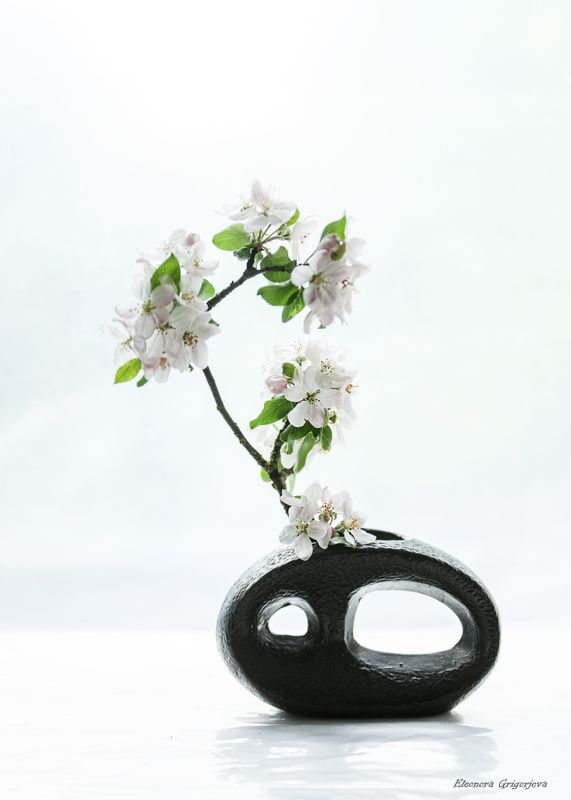 Время цветения. Яблони фото превью