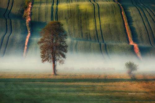 lonely...