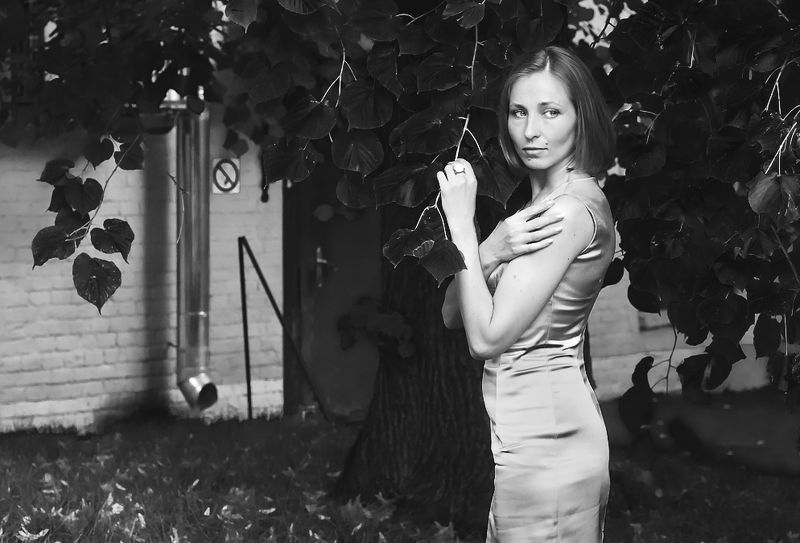 *** фото превью