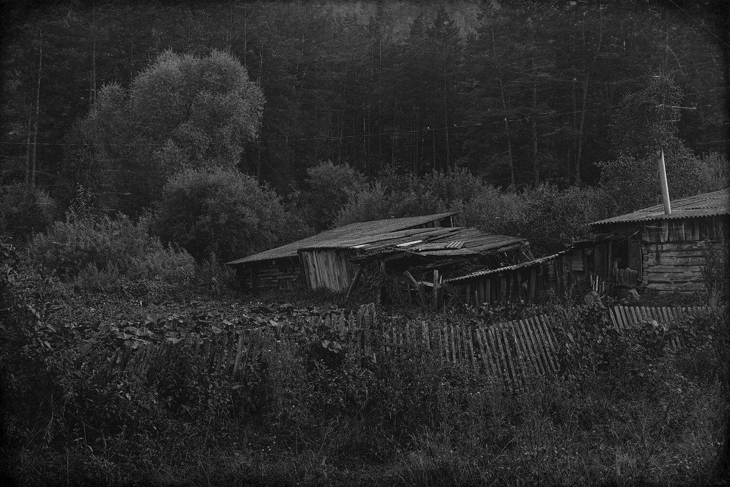 лес, тайга, двор, огород. забор, дом, заброшенный, глушь, безлюдно,, Игорь Токарев