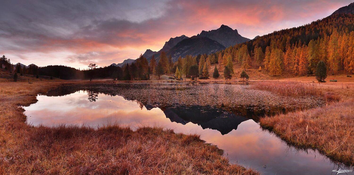 swiss, Матвеев Николай