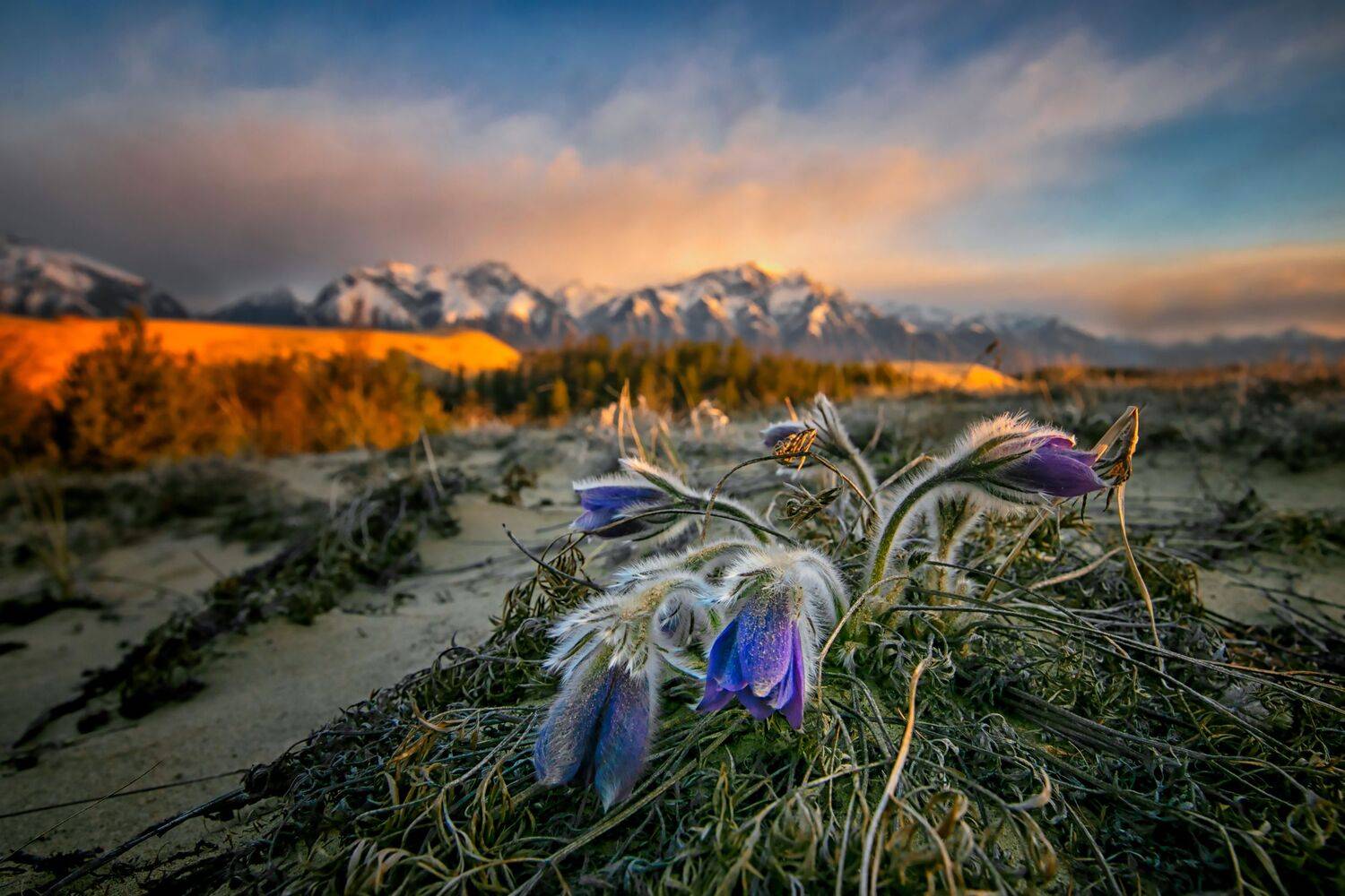 , Андрей Ершов