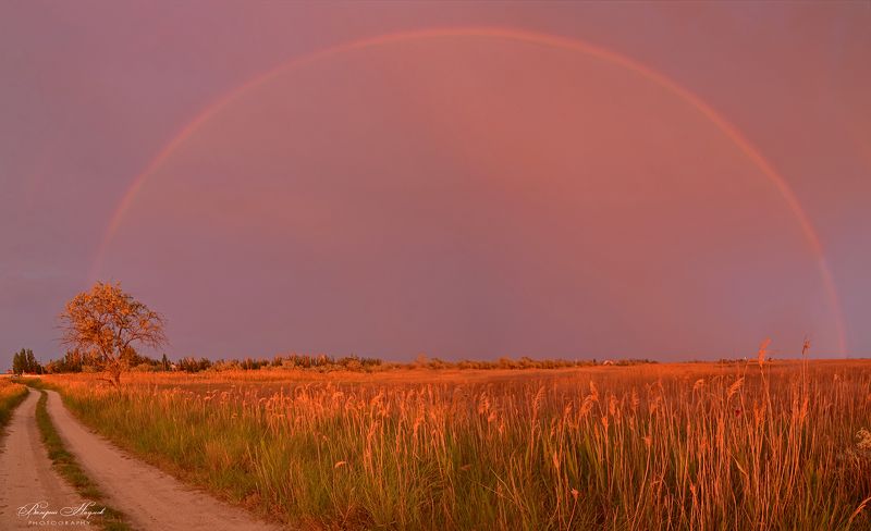 азов, закат, вечер, дождь, приазовская степь, арабатская стрелка, радуга Радуга на закате фото превью