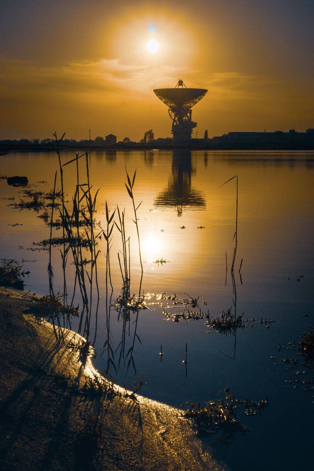 , Андрей Кривцов