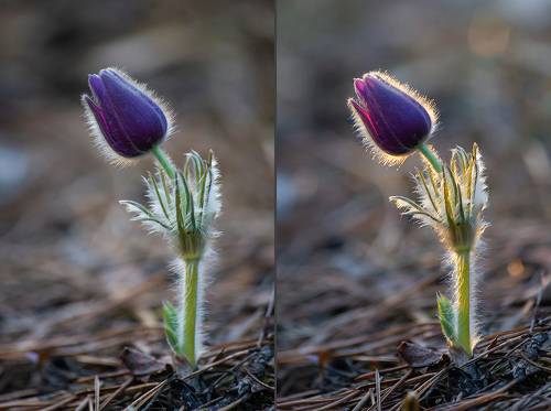 В ожидании света …