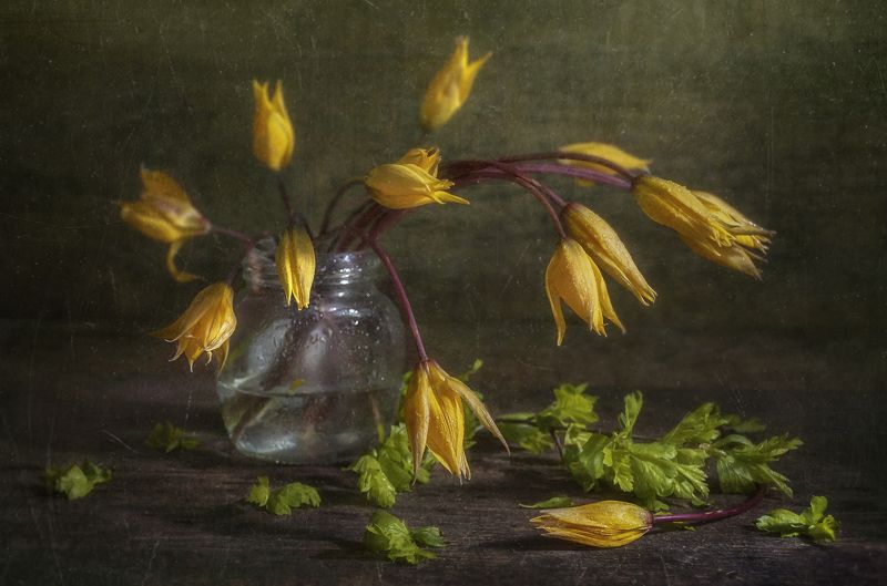 Фонарики фото превью