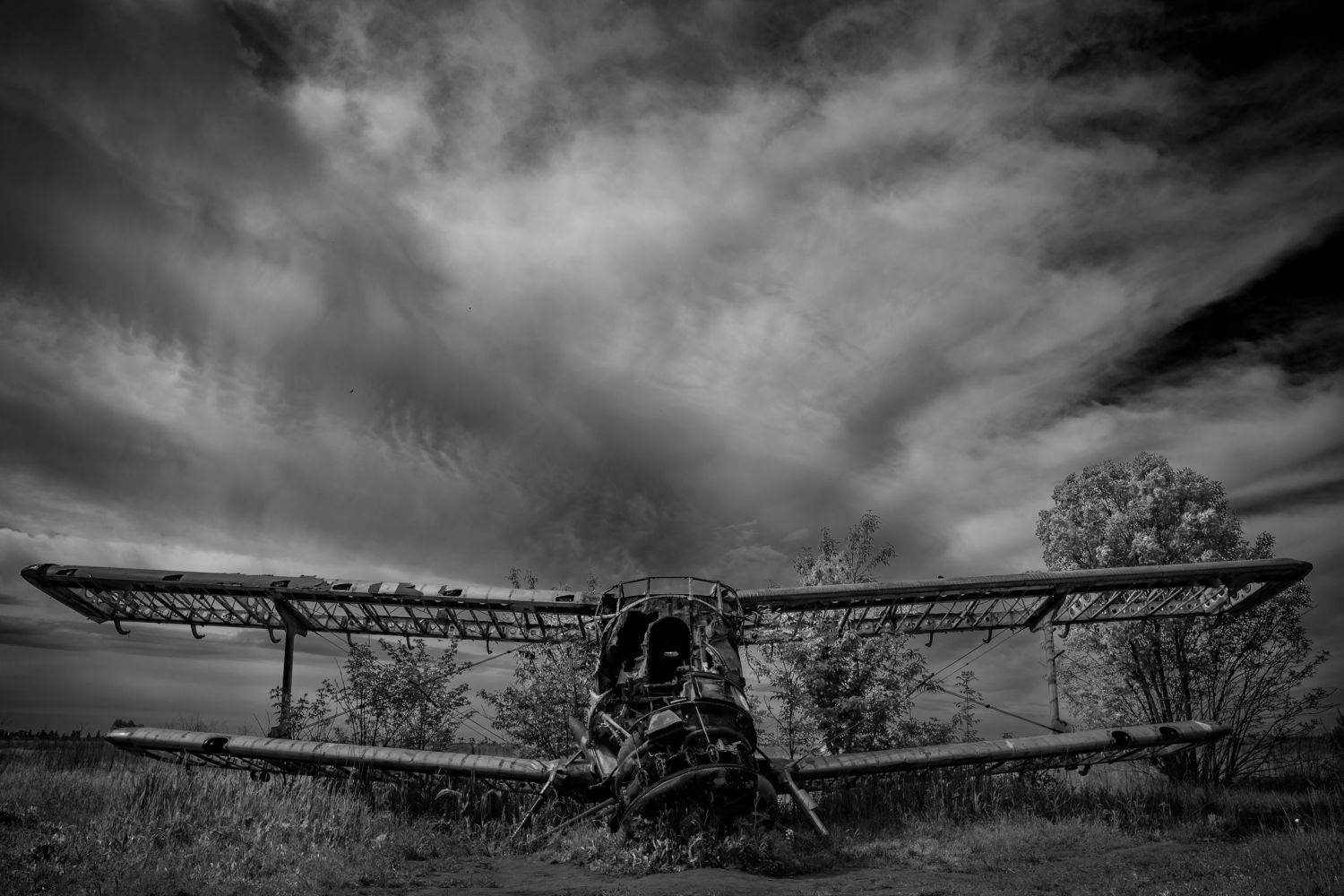 , Чистаев Александр