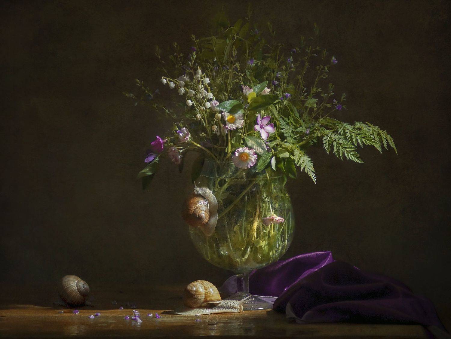 , Светлана Сушкевич