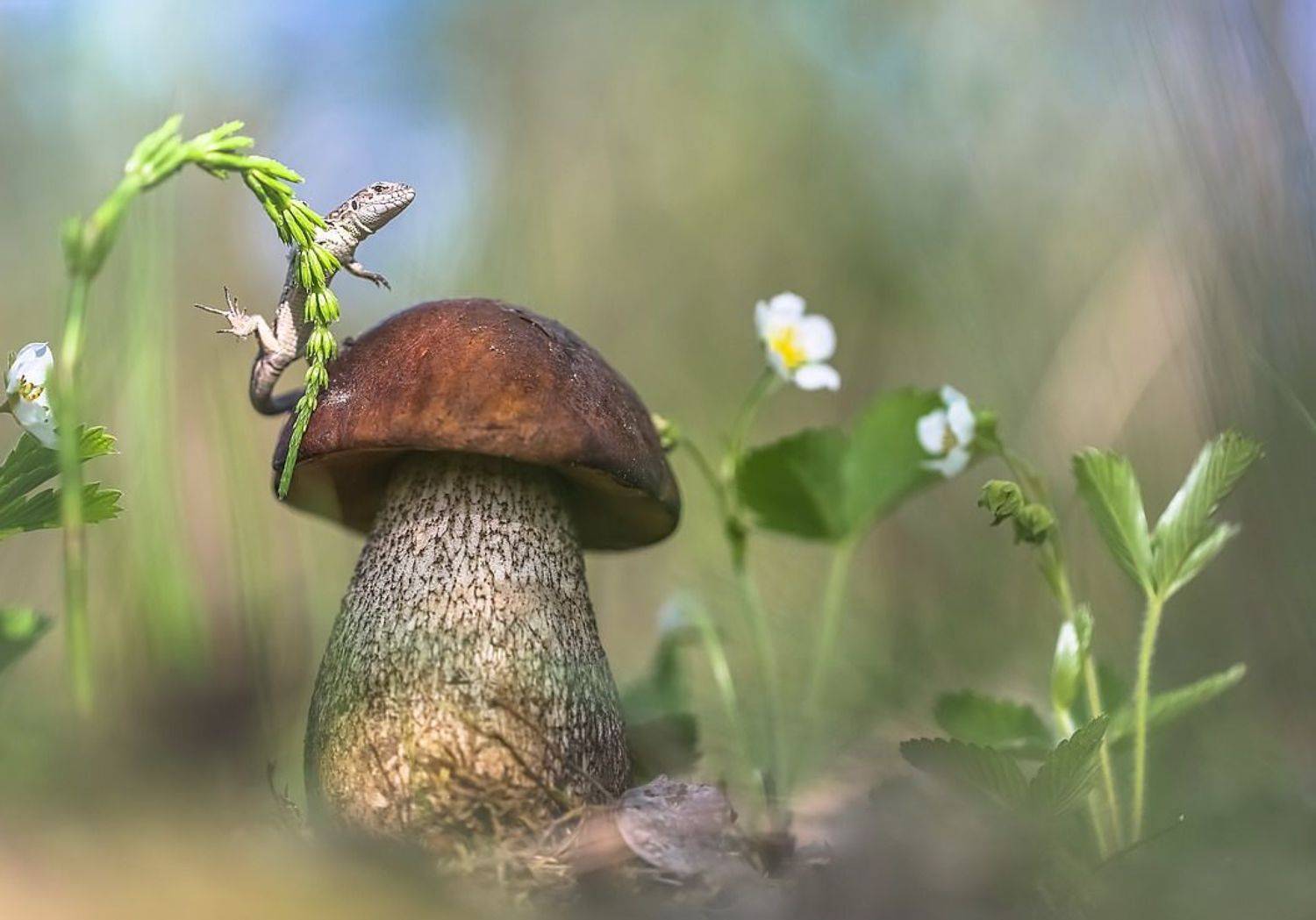 , Вячеслав Мищенко