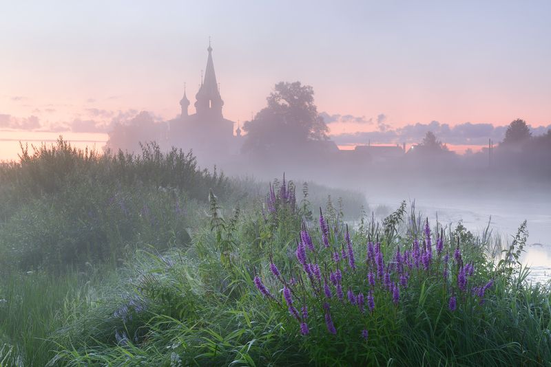 Летнее утро фото превью