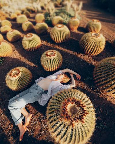 Cactus Vibe