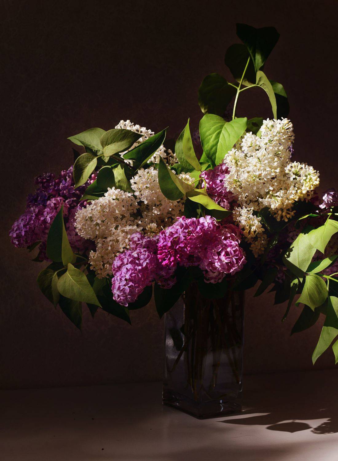 , Божена Пучко