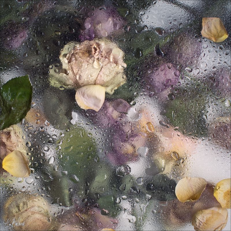 *** фото превью