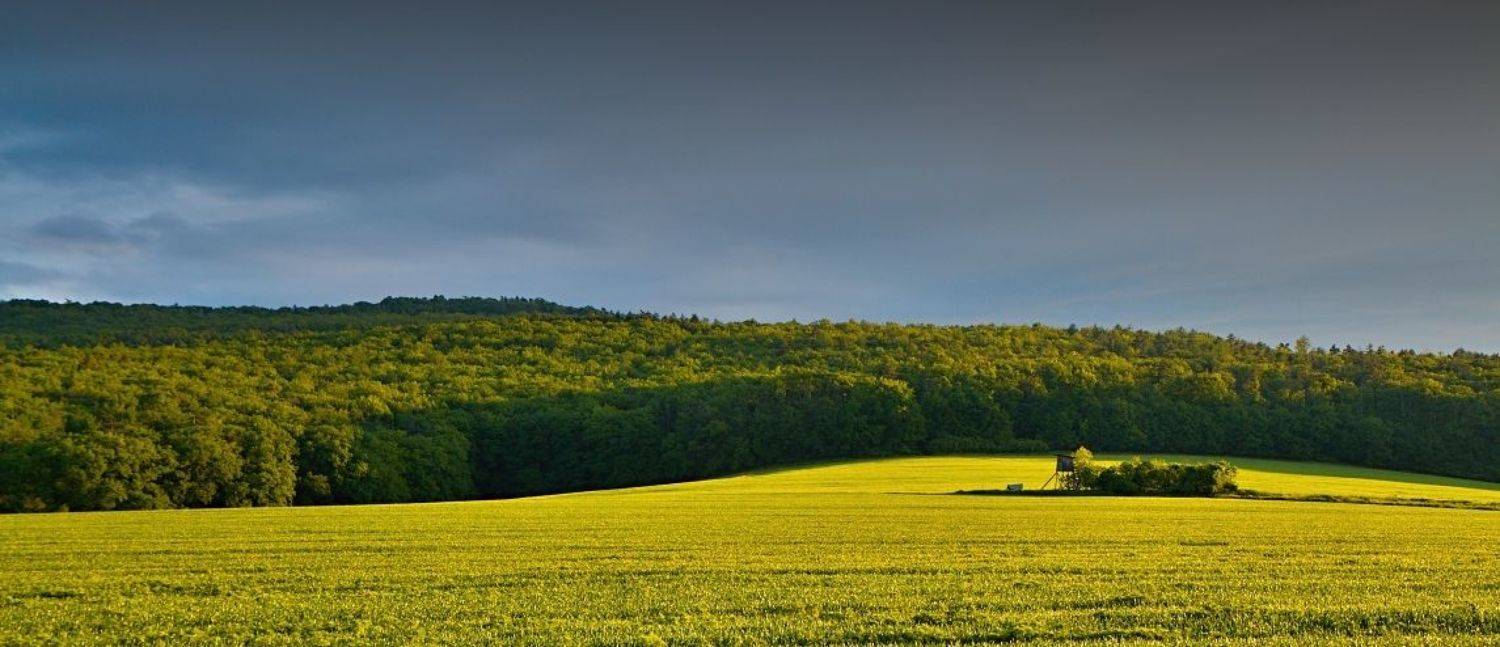 , Franti&scaron;ek Uhler