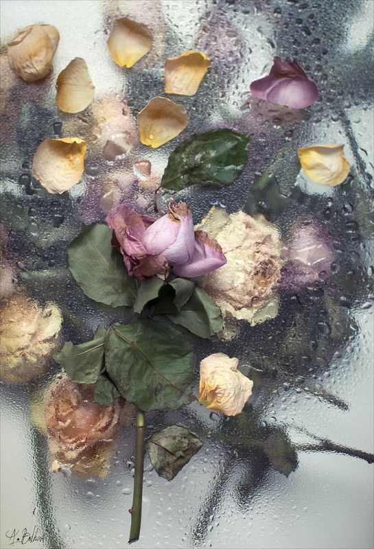 *** фото превью