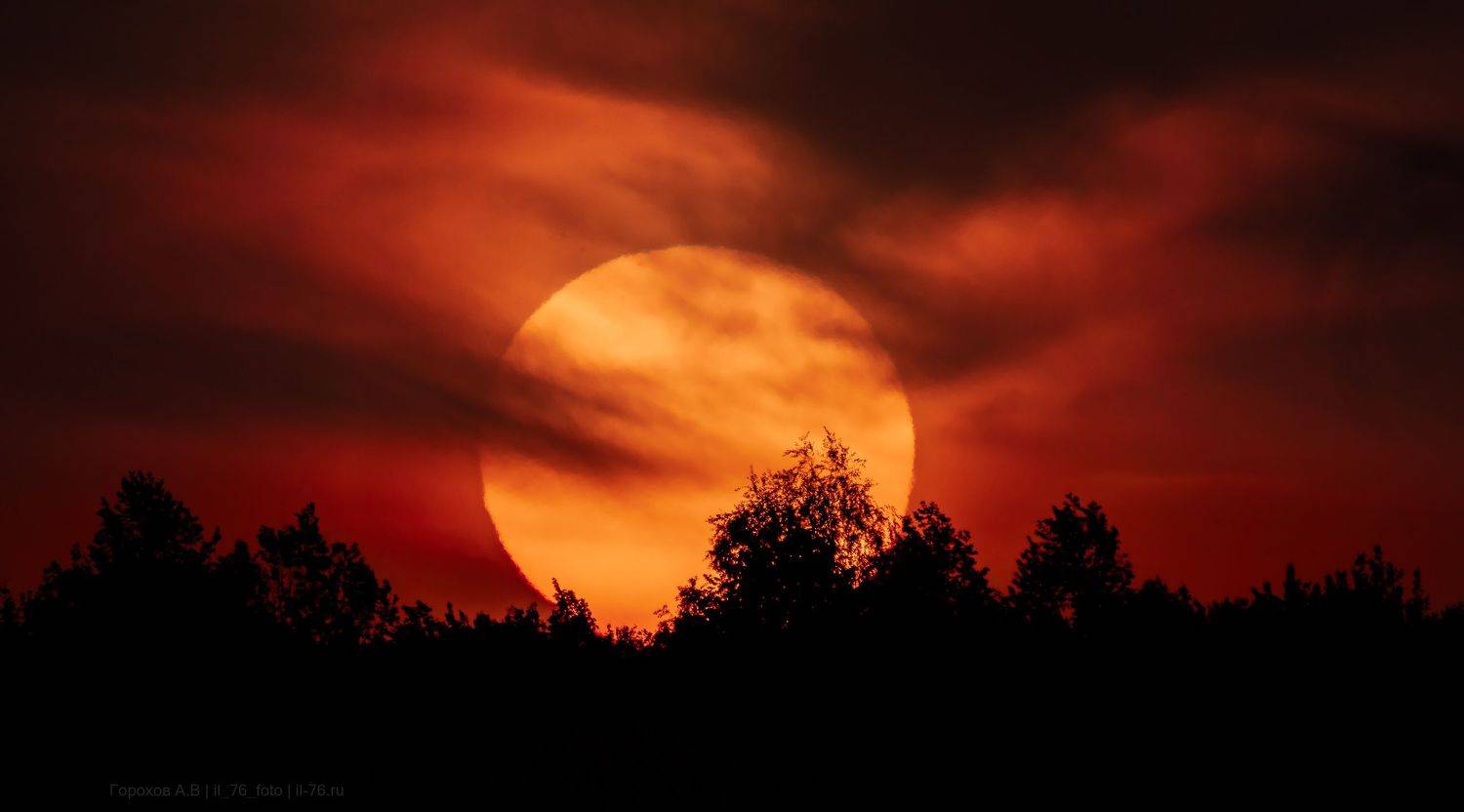 , Алексей Горохов