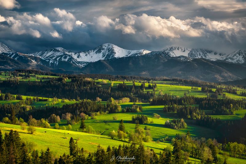 spring, mountains, tatras, green Spring under the mountains фото превью