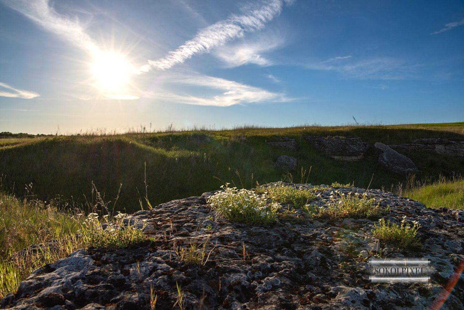 , Андрей Cоколов