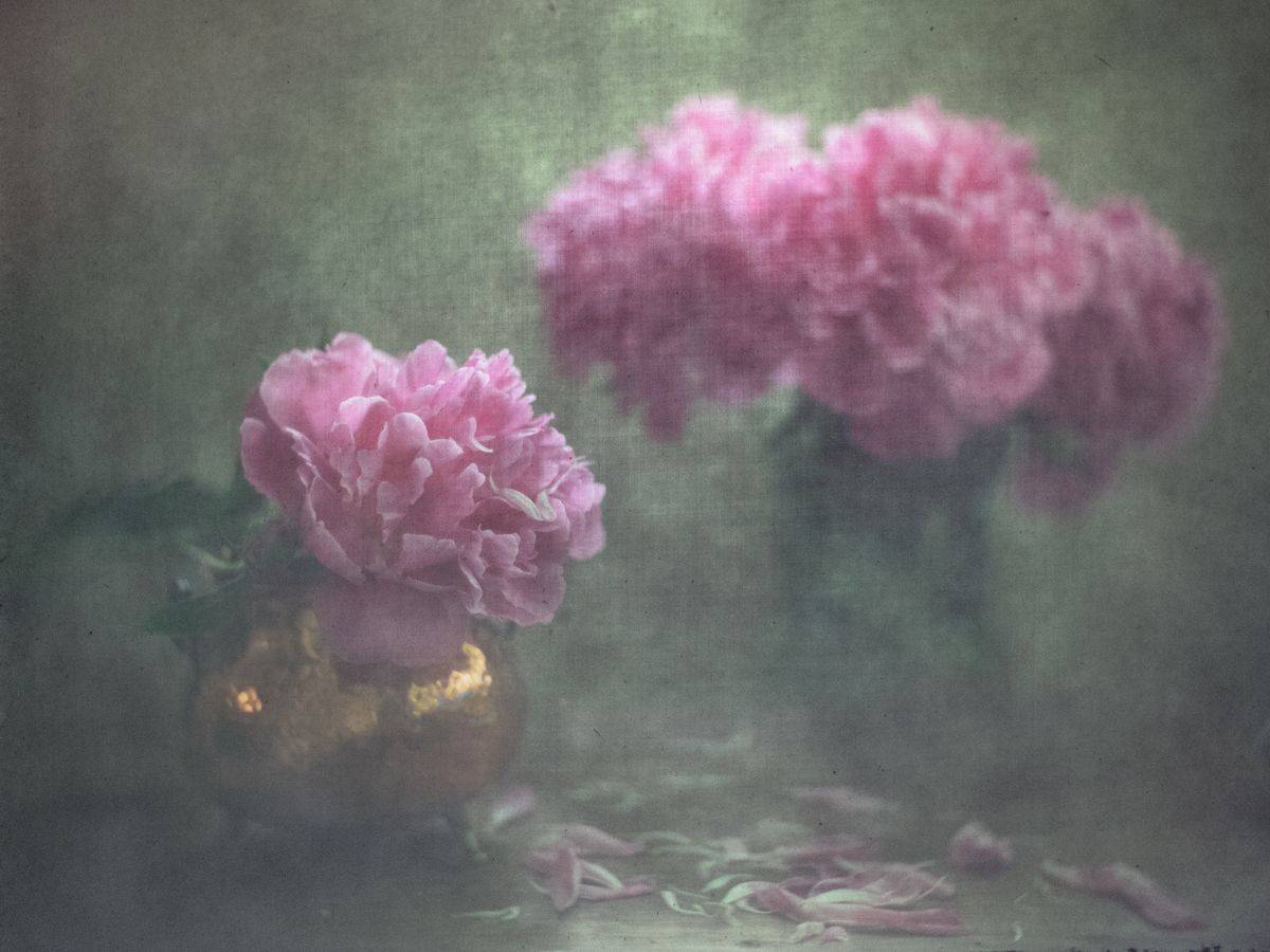 #haruhisa, Татьяна Аверина