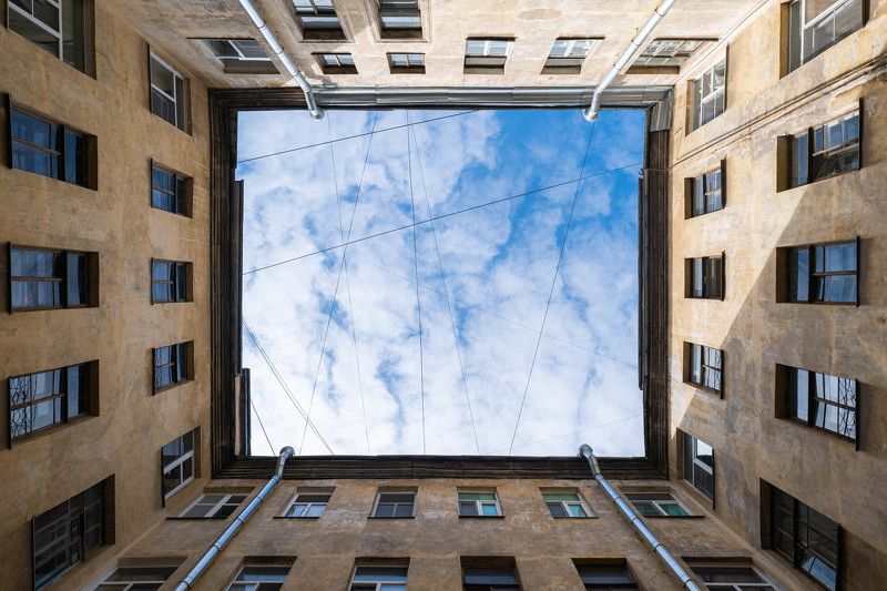 berendey walls фото превью