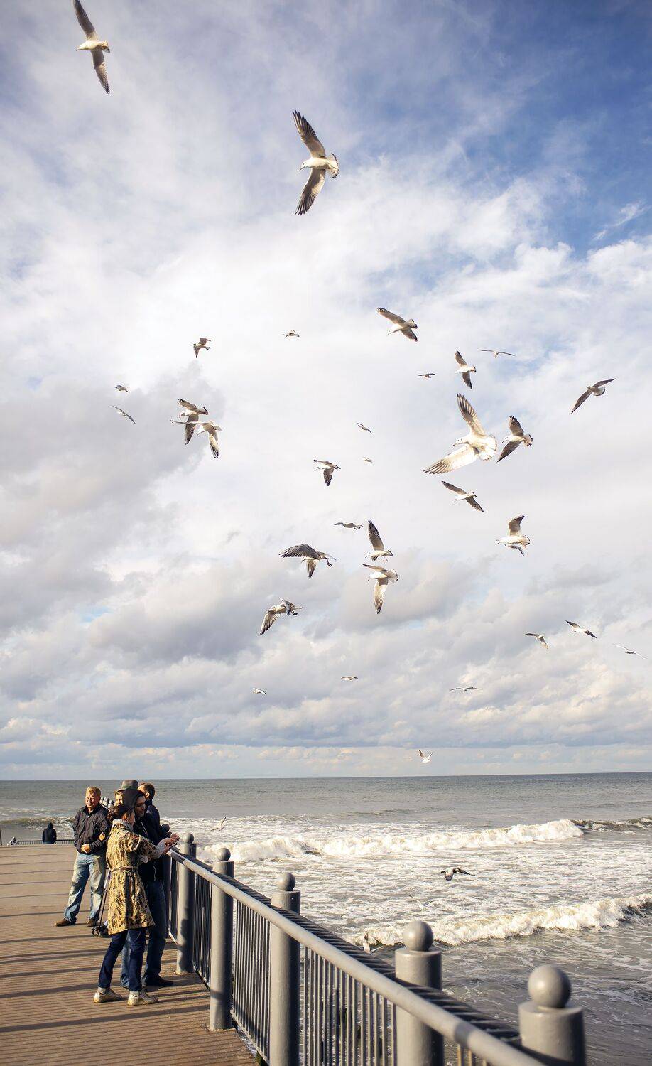 чайки балтийское море, Алексей Смирнов